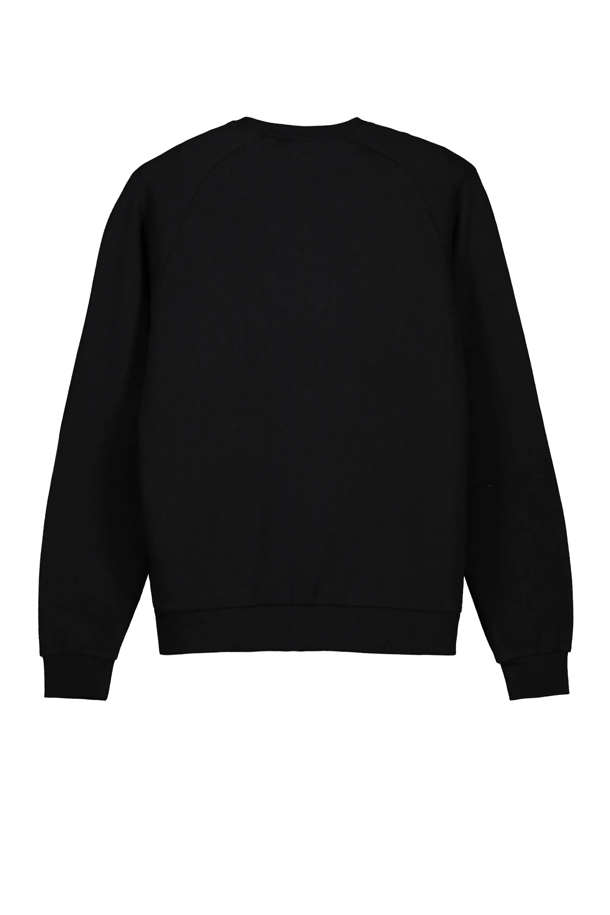         FELPA GIROCOLLO NON FELPATO RAGLAN